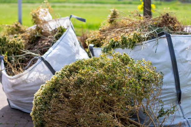 Best Dumpster Rental Services  in Evansburg, PA